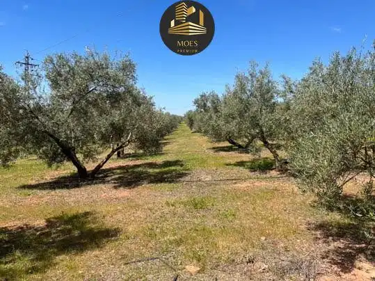 Terreni e lotti in vendita a San Roque - La Cruz - La Rozuela, imagen 4