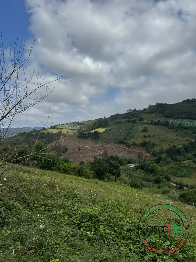 Terreny en venda en Villaviciosa
