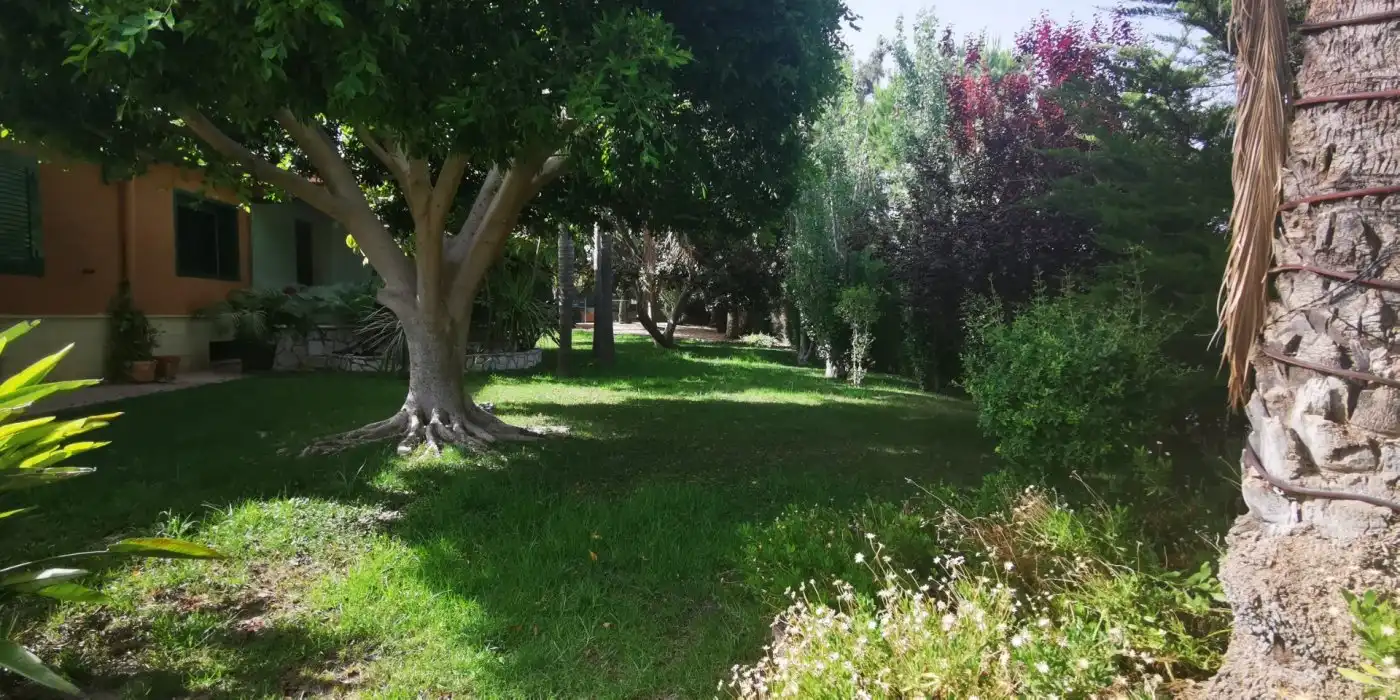 Jardí de Casa o xalet en venda en Elche / Elx amb Aire condicionat, Jardí privat i Terrassa