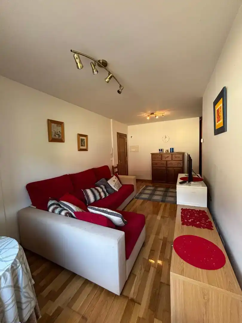 Sala d'estar de Pis de lloguer en Camaleño amb Jardí privat, Parquet i Moblat