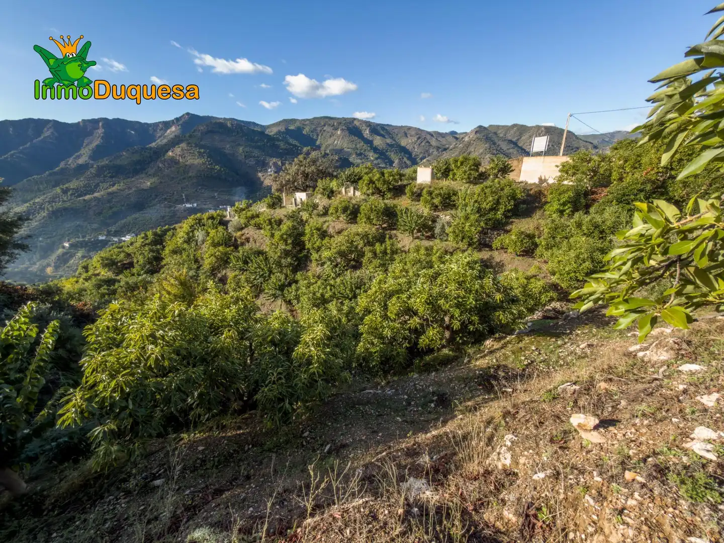 Casa rústica en venta en Calle Diseminados, Pol-8 Par-359 000, imagen 29