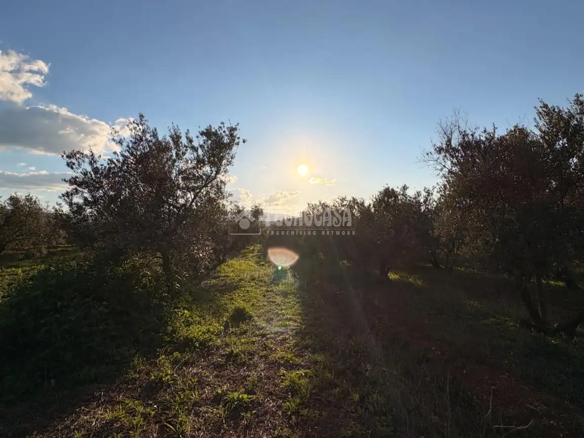 Rural land for sale in Dúrcal, imagen 8