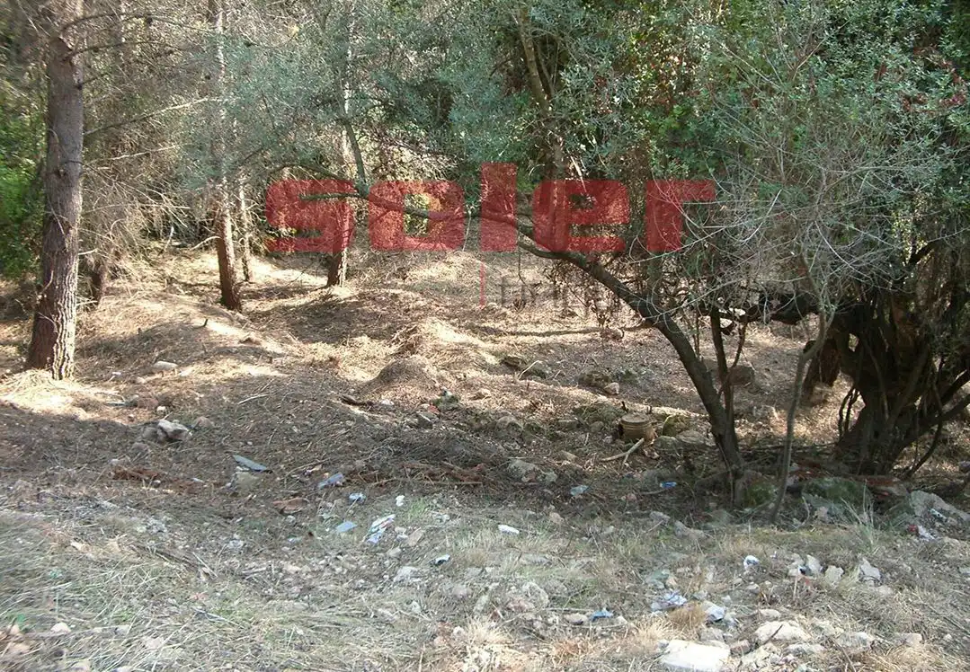 Terreni e lotti in vendita a La Palma de Cervelló, imagen 7