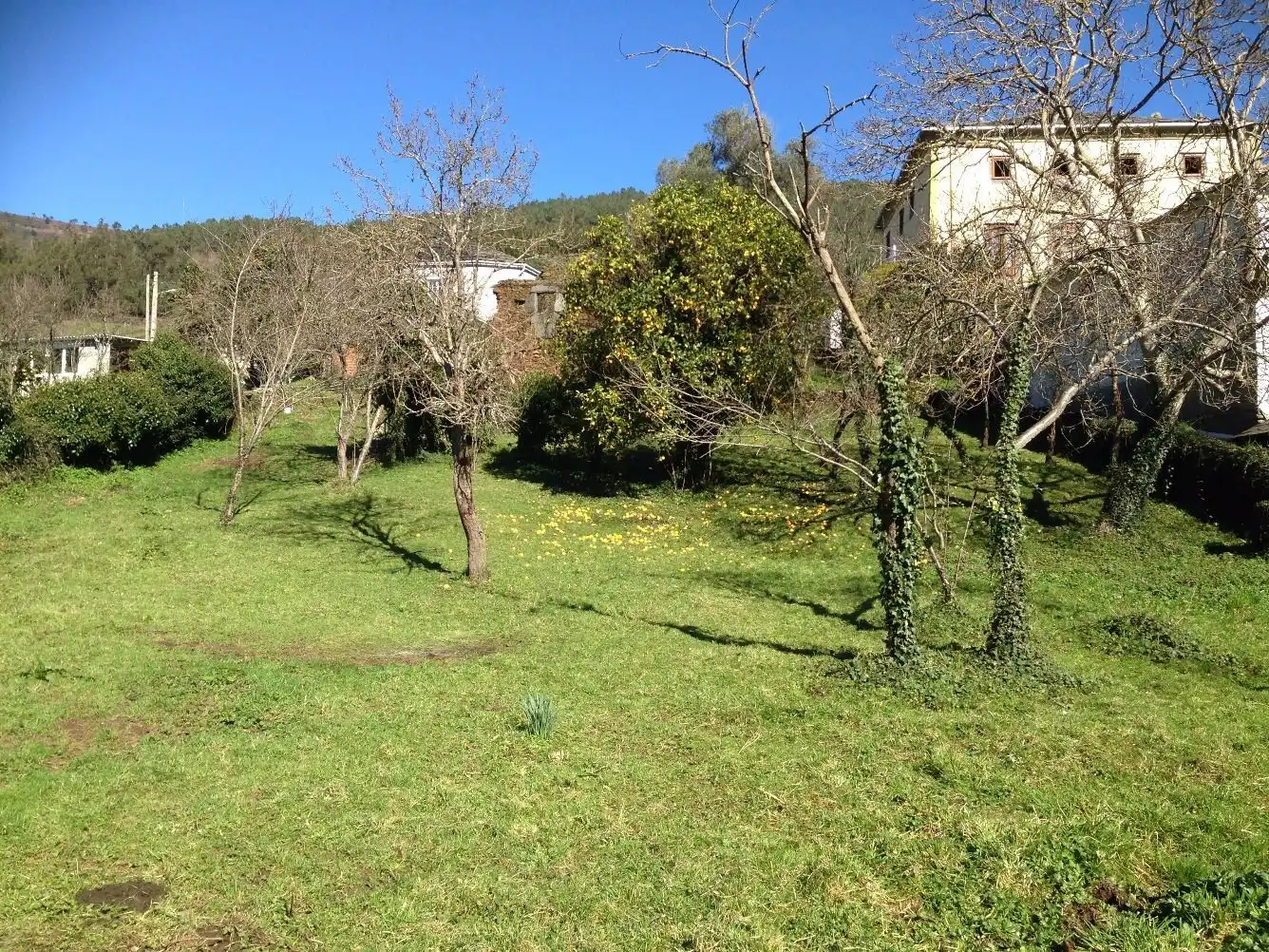 Casa con jardín en venta en Boal, imagen 6