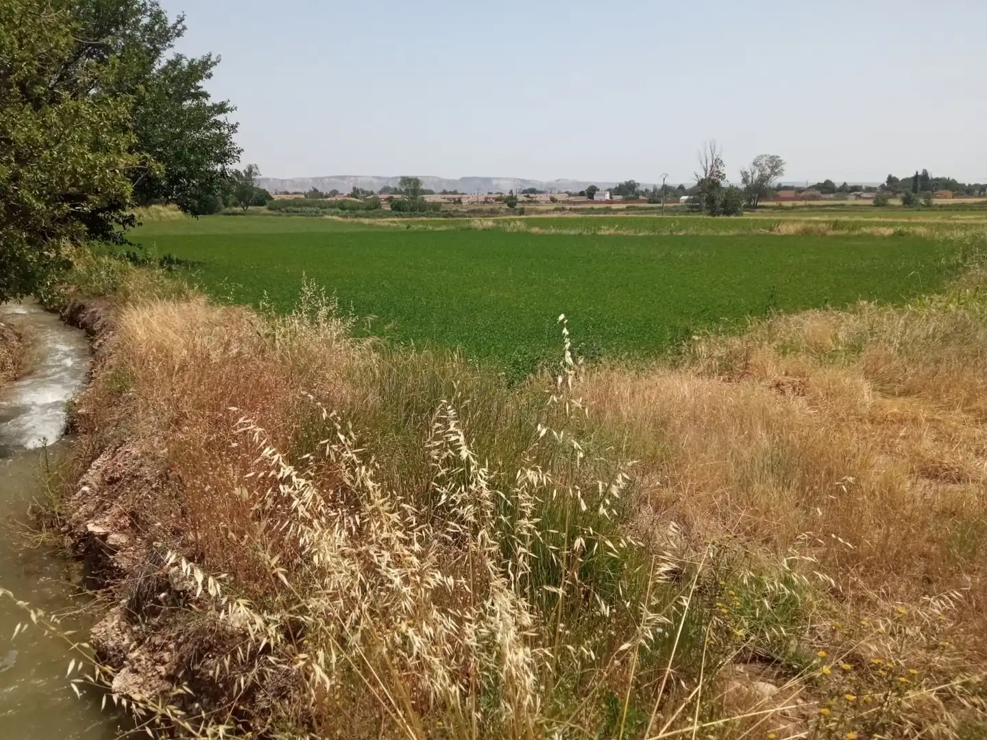 Land for sale in Pinseque