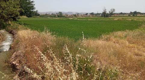 Foto 5 de Terreny en venda a Pinseque, Zaragoza