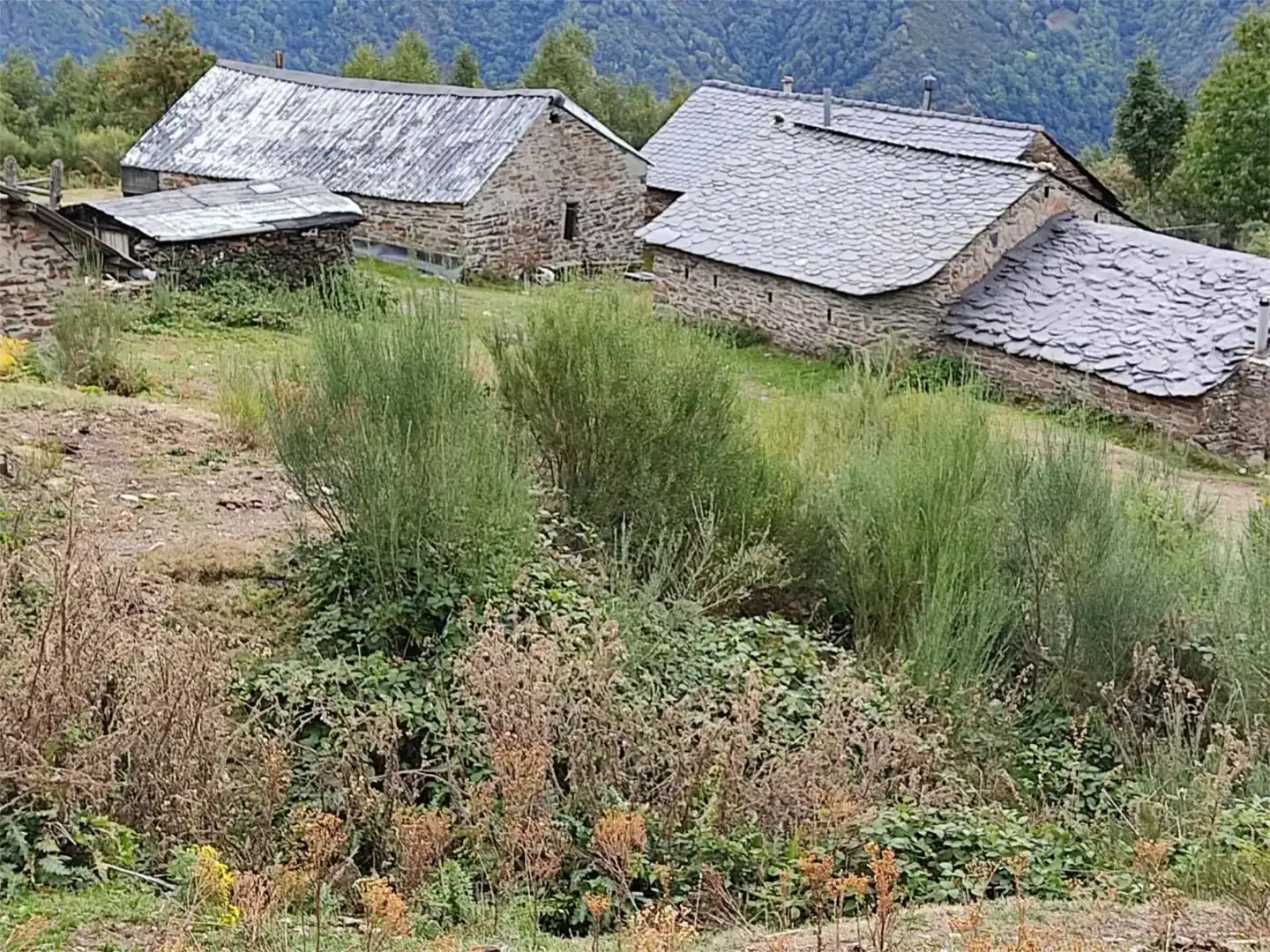 Finca rústica en venda en Palacios del Sil