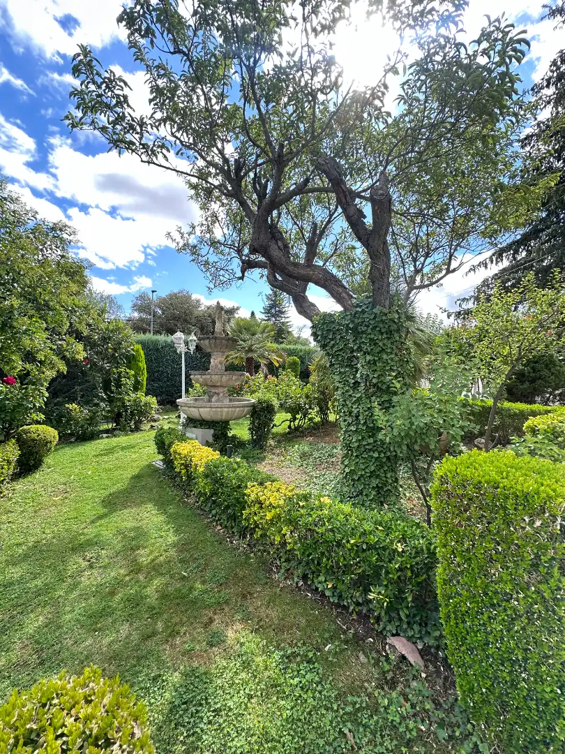 Jardí de Casa o xalet en venda en Las Rozas de Madrid amb Aire condicionat, Calefacció i Jardí privat