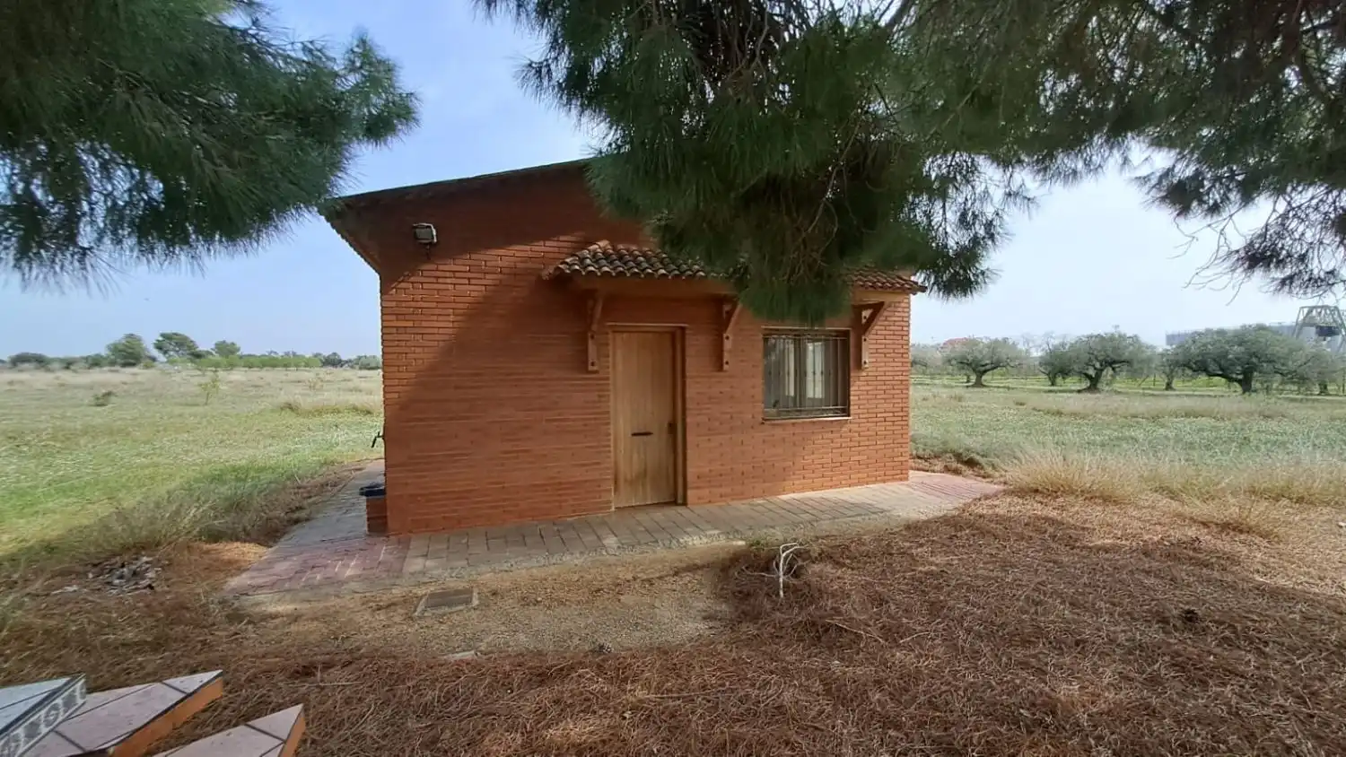 Vista exterior de Finca rústica en venta en Constantí