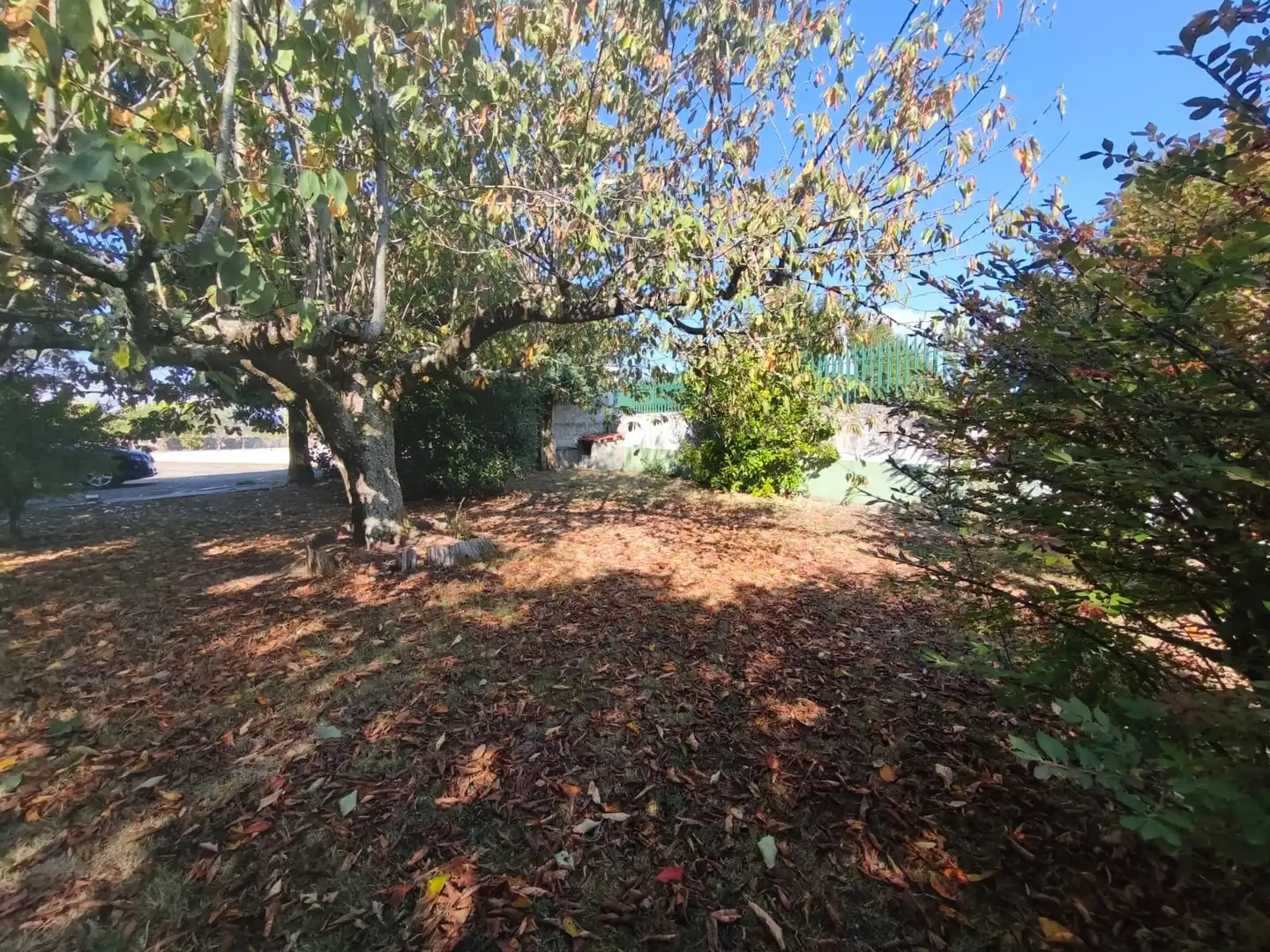 Chalet con terraza en venta en Coles, imagen 52