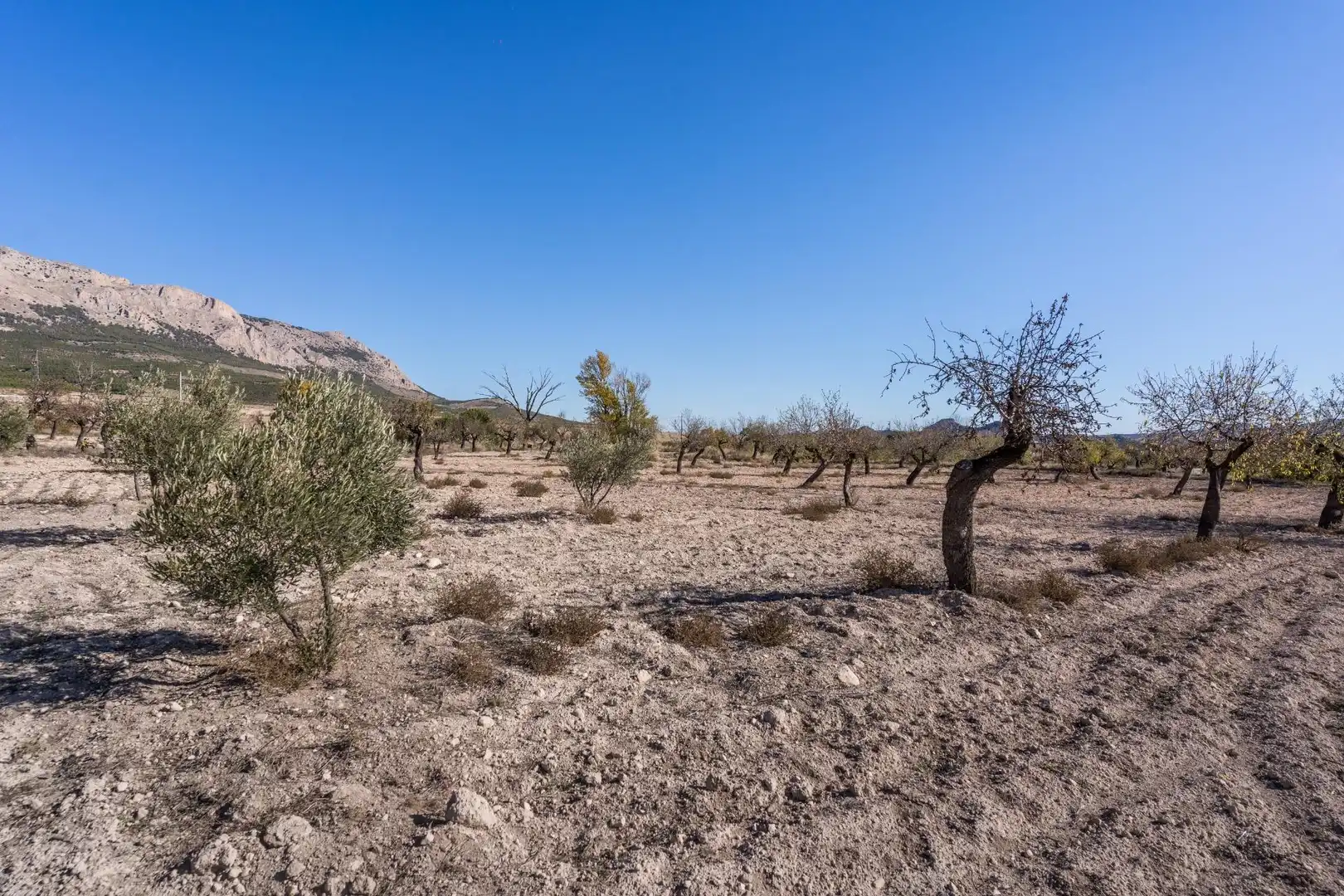 Finca rústica en venta en Vélez-Rubio con Calefacción, Jardín privado y Trastero