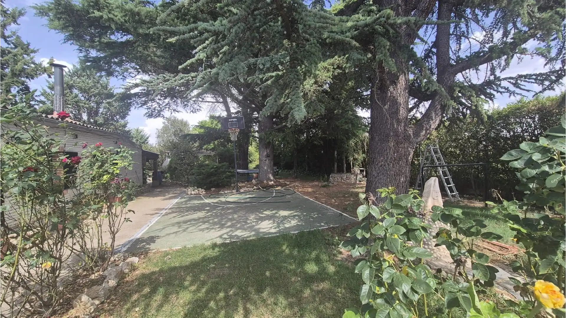 Garden of Houses for sale in Villamuriel de Cerrato  with Heating, Private garden and Swimming Pool