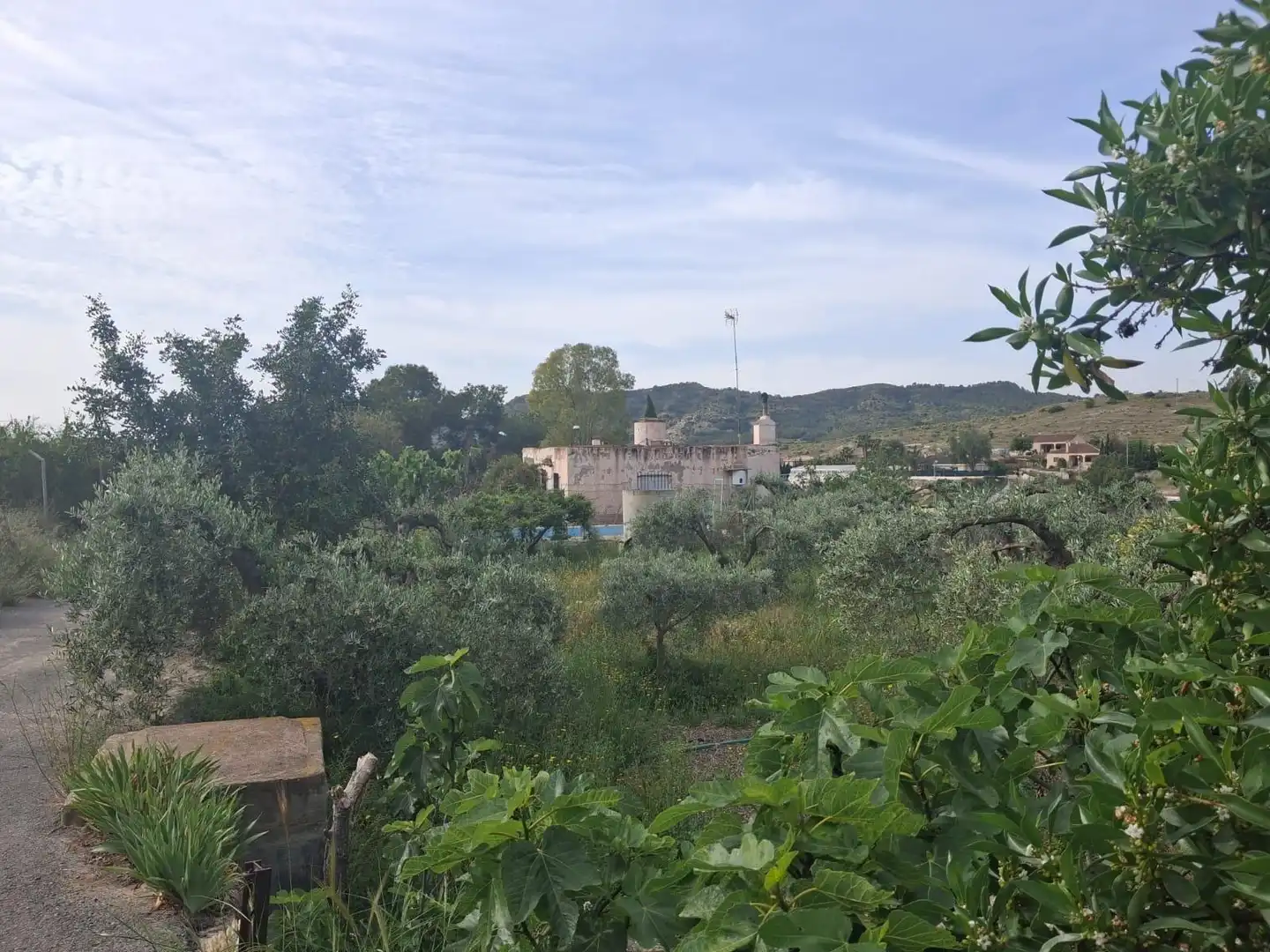 Casa o chalet en venta en Aspe