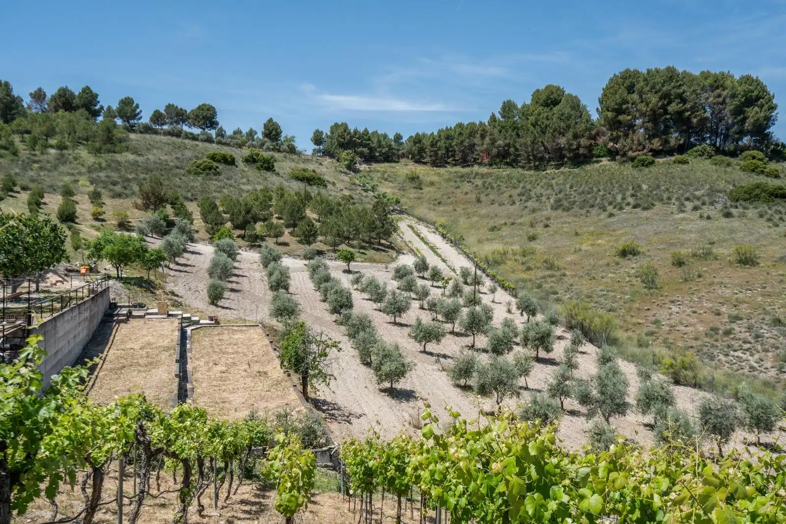 Garden of Country homes for sale in Chinchón  with Air Conditioner, Heating and Private garden