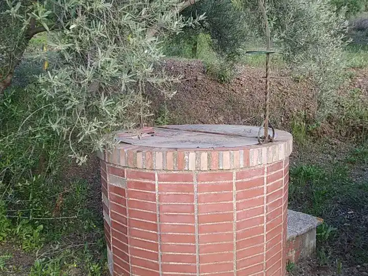 Jardí de Finca rústica en venda en Sedella