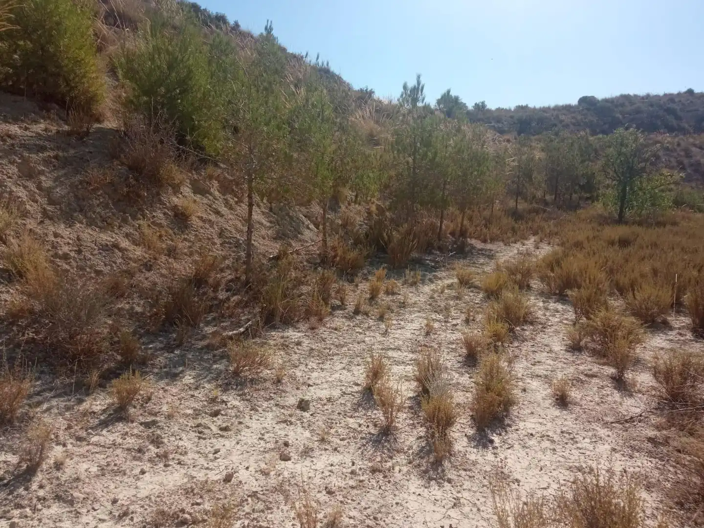 Terrains et parcelles à vendre à Pedanías Norte, imagen 20