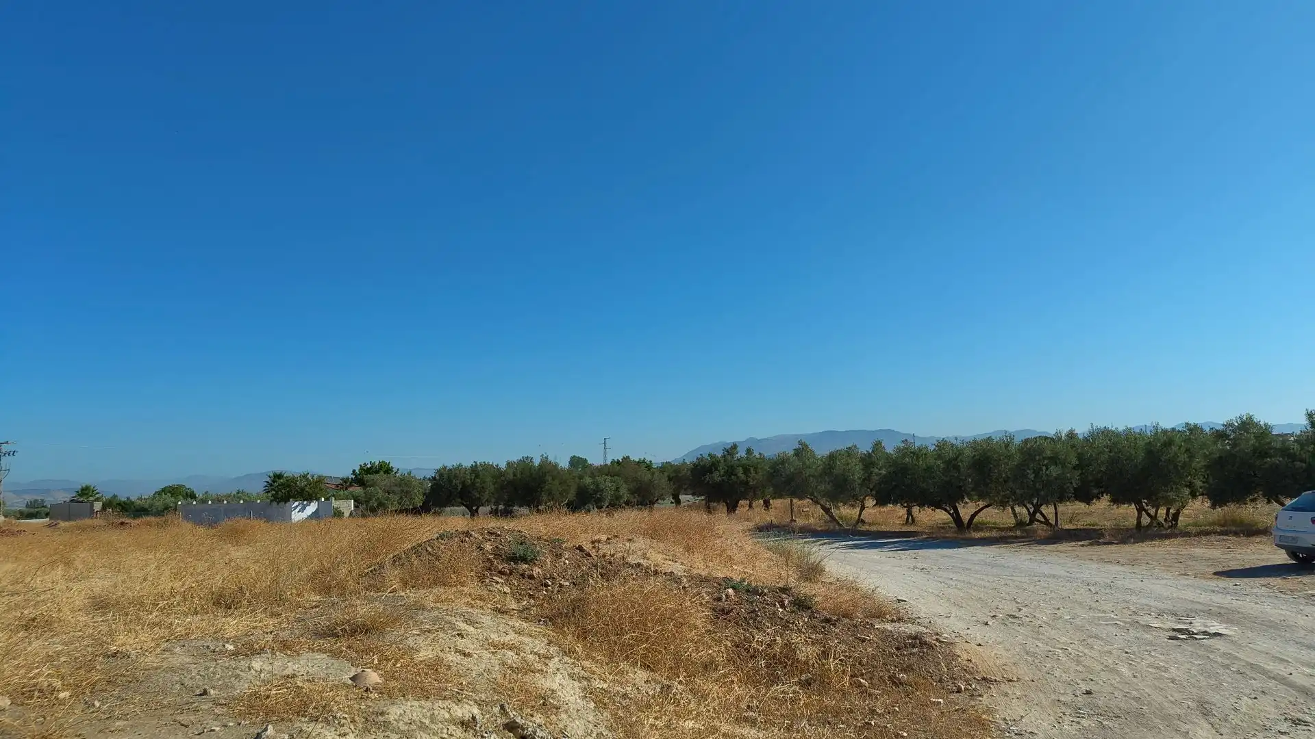 Terreno rustico in vendita a Aljancira, imagen 5