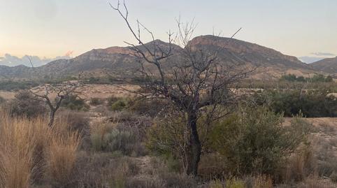 Photo 5 of Land for sale in Camí de L'alcoraia, 21, Cañada del Fenollar, Alicante / Alacant