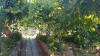 Jardí de Casa o xalet en venda en Loranca de Tajuña amb Jardí privat i Piscina