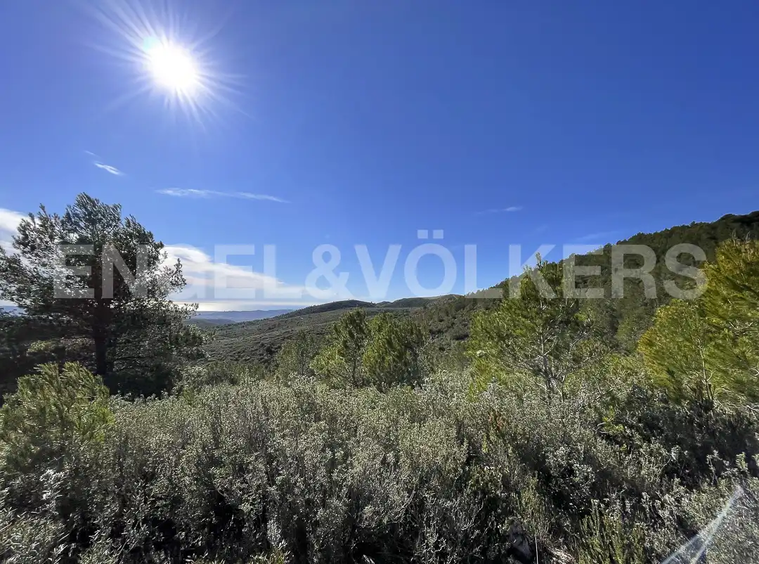 Country homes for sale in El Montmell  with Heating