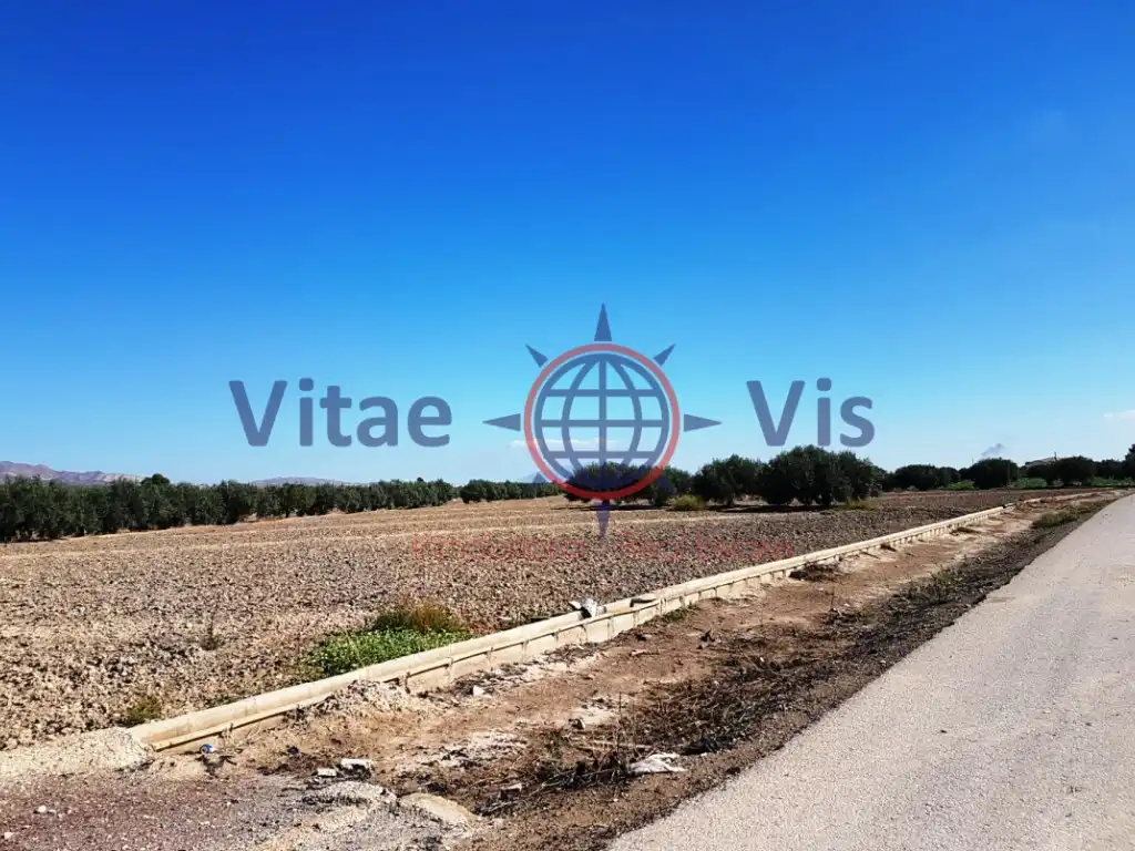 Terreny residencial en venda a Pedanías Centro, imagen 3