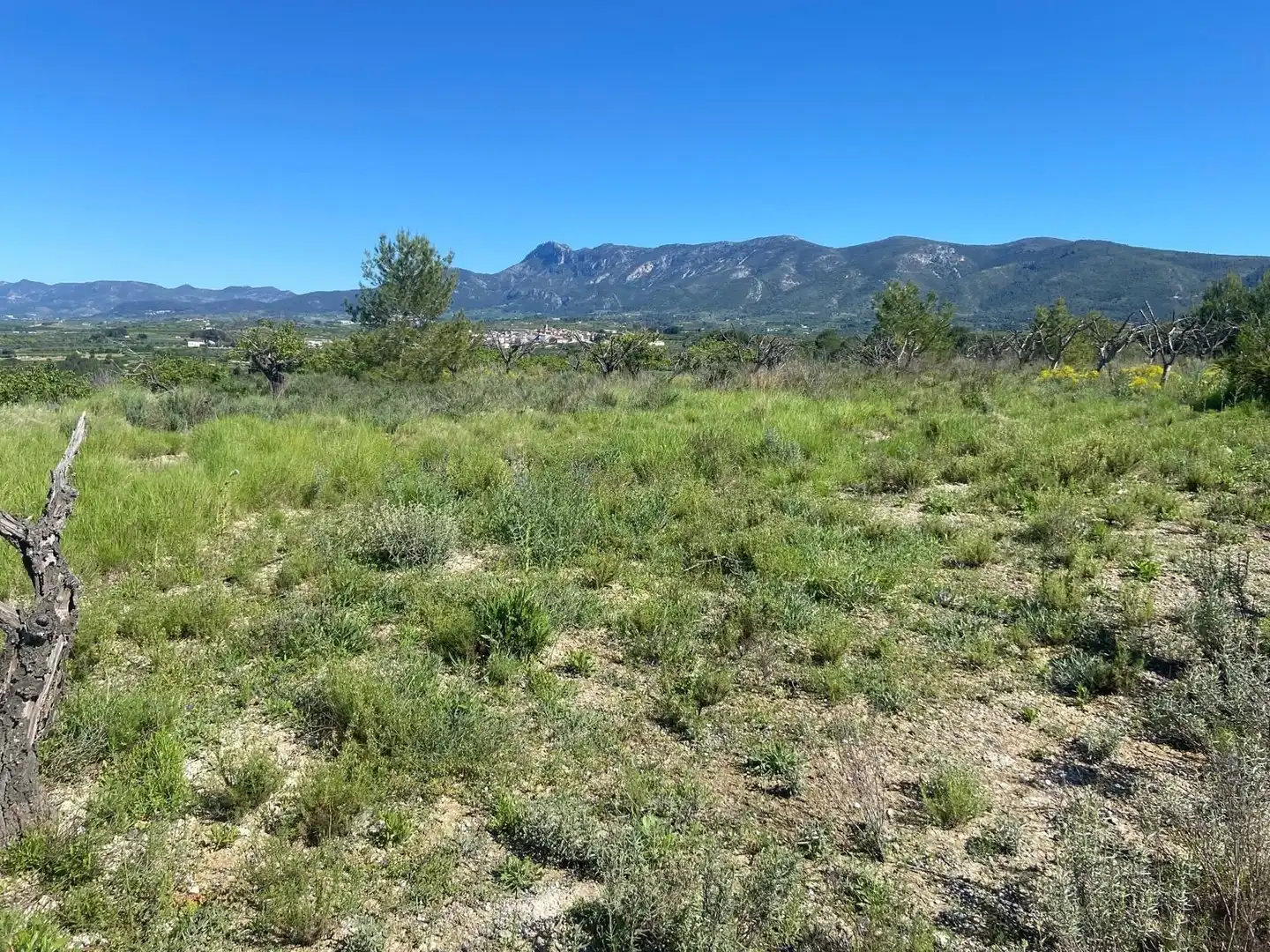 Rustikales Grundstück zum Verkauf in El Palomar, imagen 6