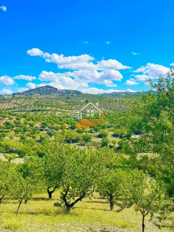 Residential land for sale in Vélez-Rubio, imagen 14