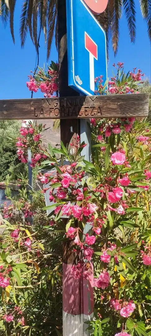 Jardín de Finca rústica en venta en Santa Lucía de Tirajana con Trastero
