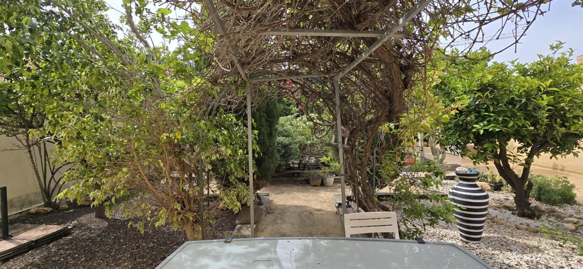 Jardín de Casa o chalet en venta en Orihuela