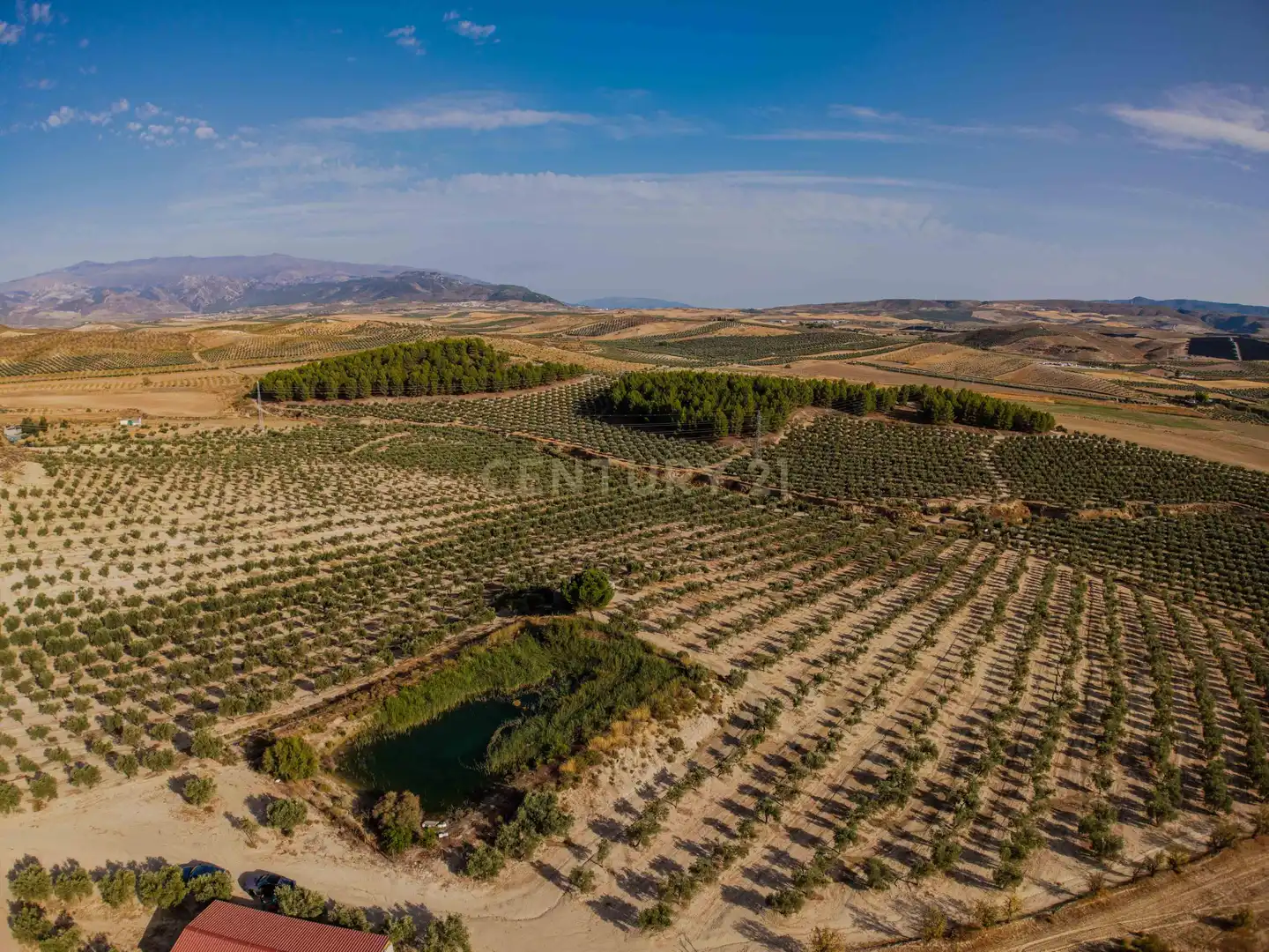 Terreno rústico en venta en 472M+GF La Malahá, Spain, imagen 13