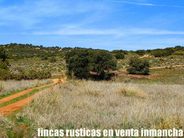 Terreno en Venta en Ossa de Montiel