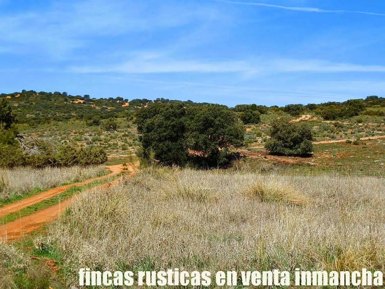 Lands and plots for sale in Ossa de Montiel