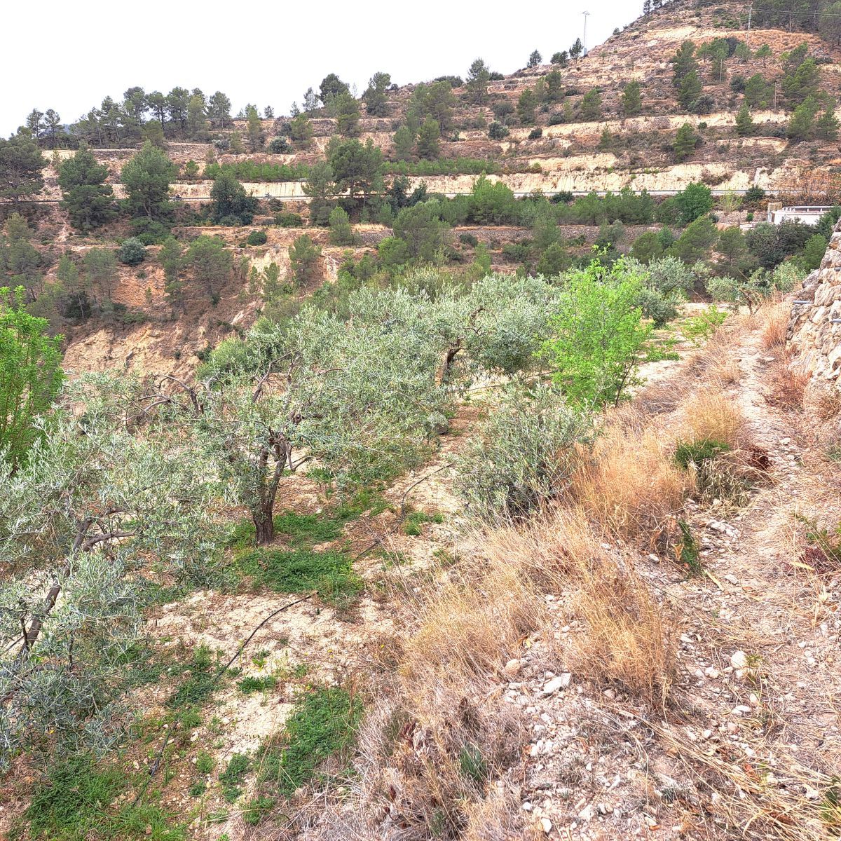 Country house for sale in Sella