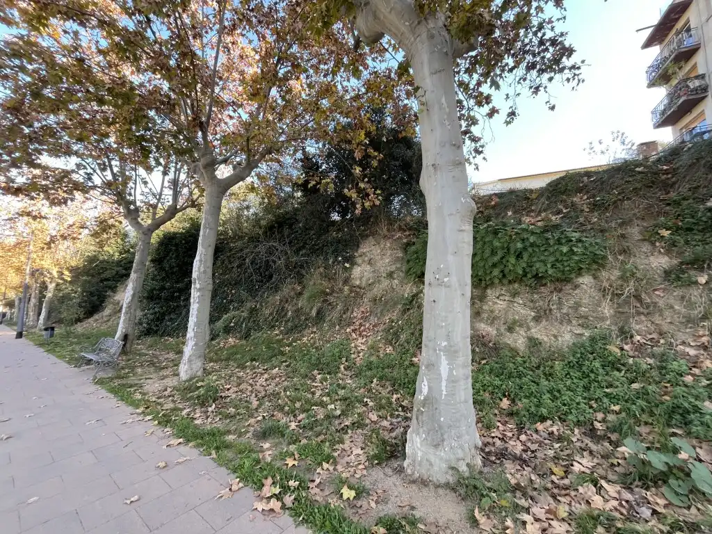 Wohnbaugrundstück zum Verkauf in Diseminados Pla Palou, imagen 20