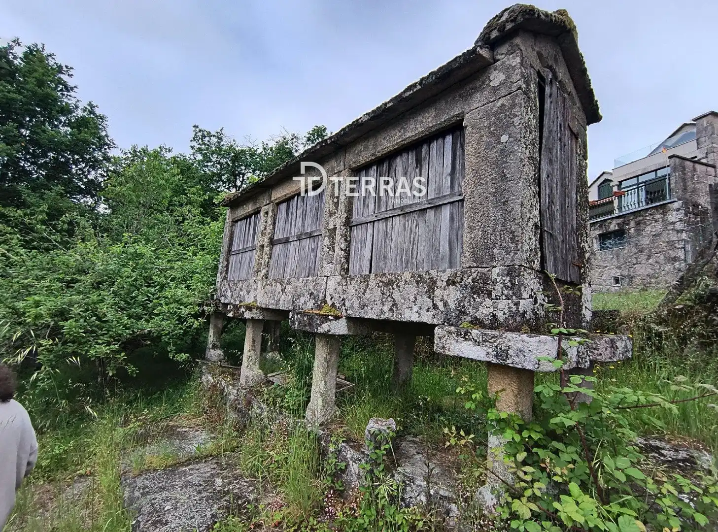 Vista exterior de Casa o chalet en venta en Ponte Caldelas con Jardín privado