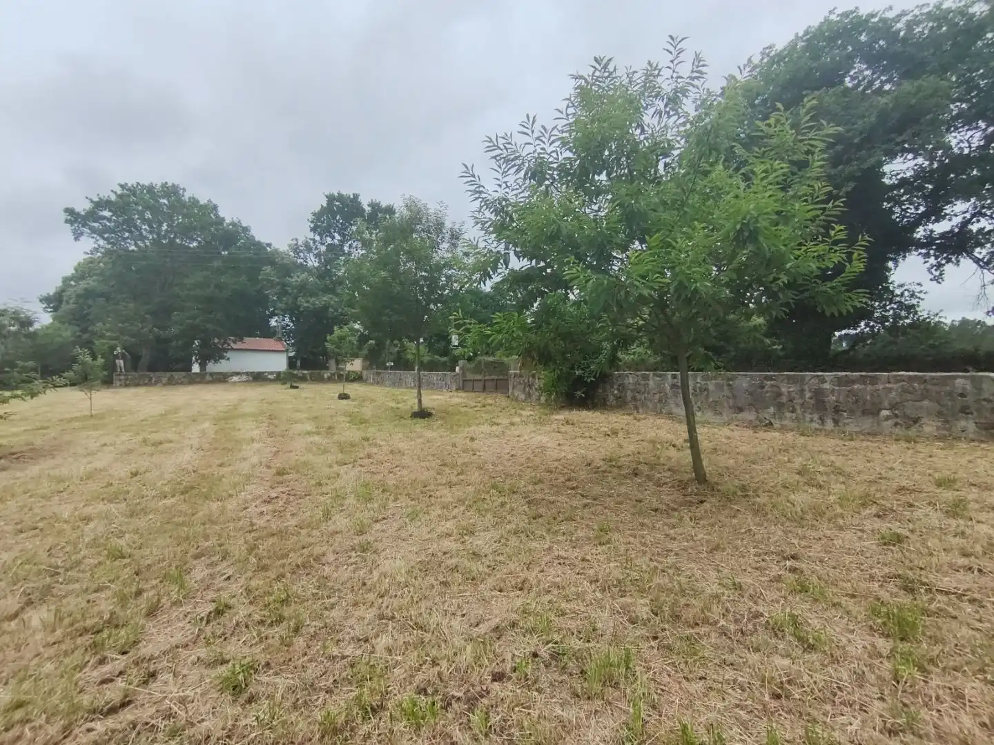 Residential for sale in Curtis