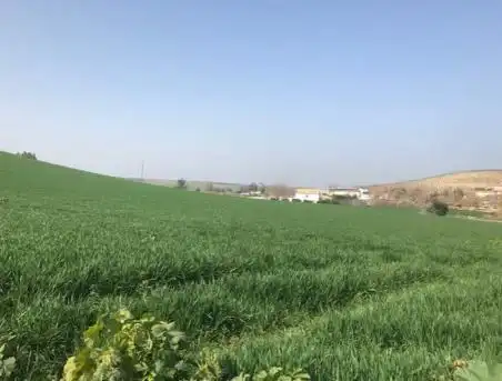 Terrenos y solares en venta en del coto, imagen 2