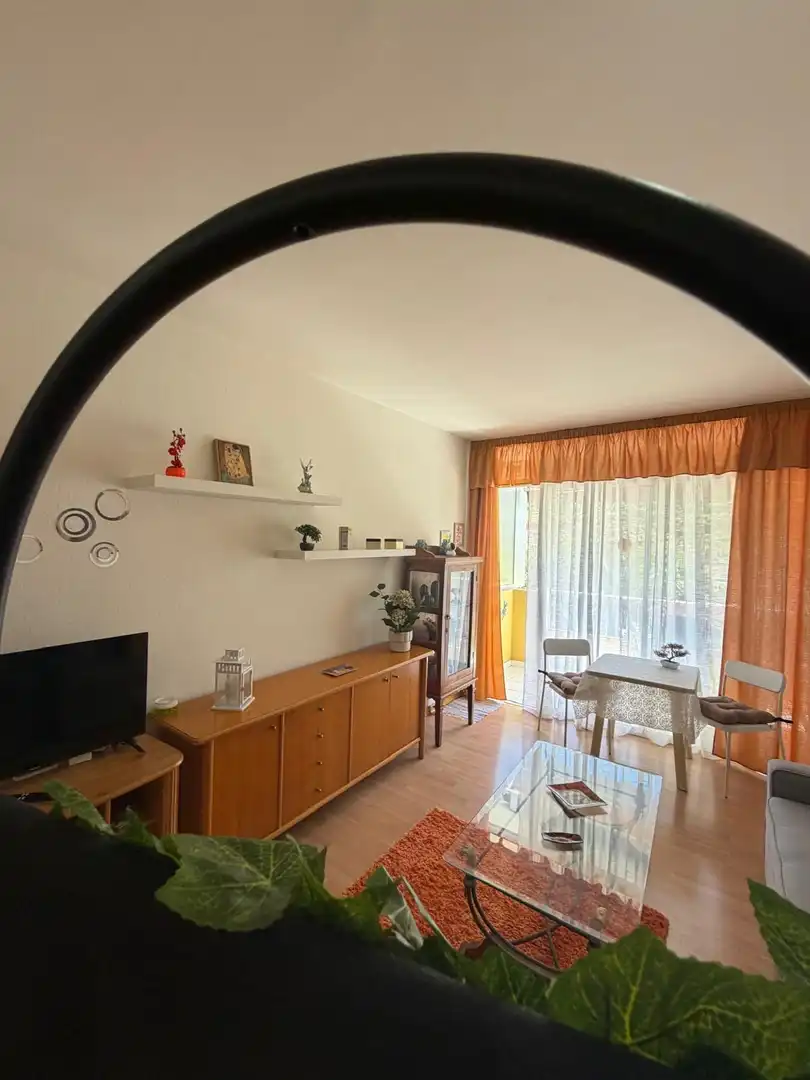 Sala d'estar de Estudi de lloguer en Puerto de la Cruz amb Parquet, Terrassa i Balcó