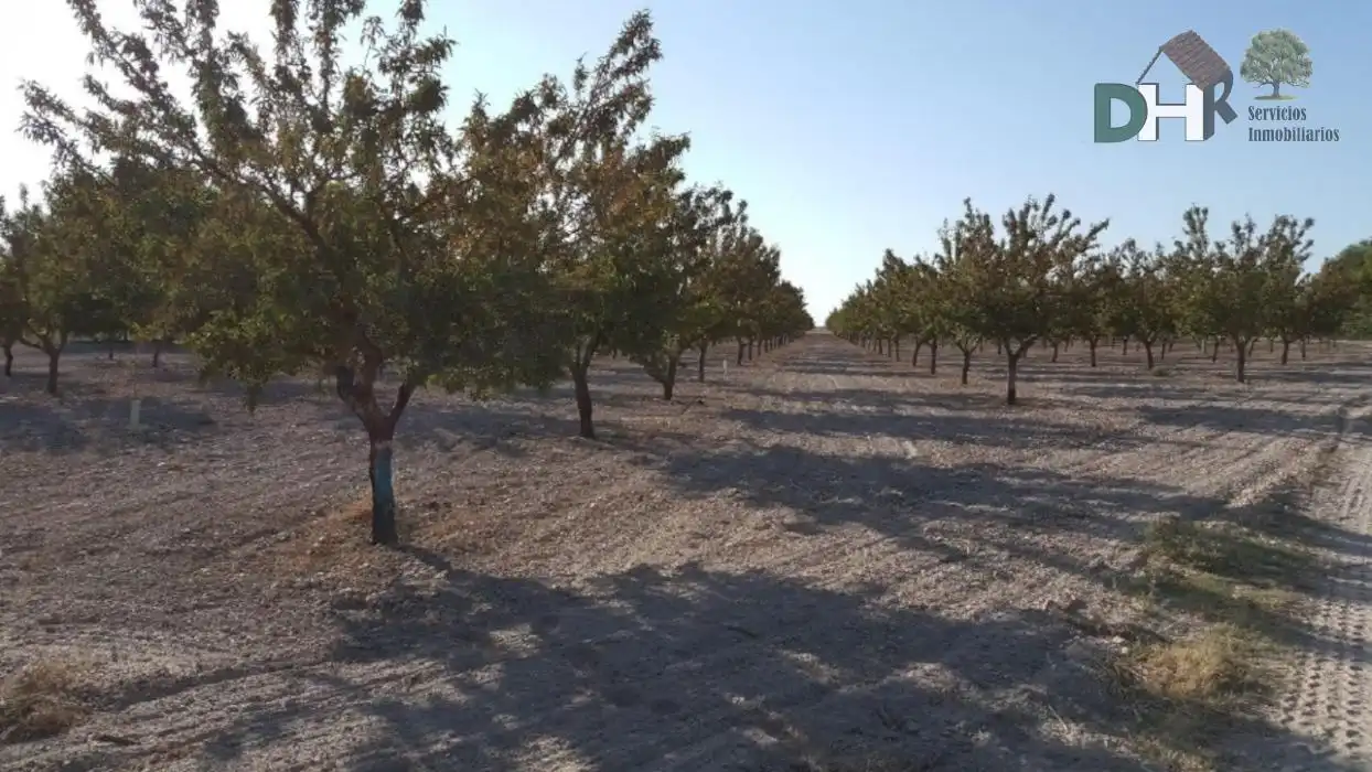 Terrenys i solars en venda a Los Cigarrales - La Bastida, imagen 6