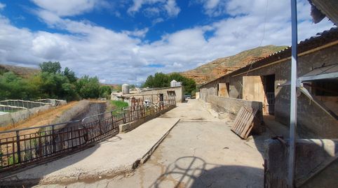 GRANJA DE CERDOS EN, FRONTINA , GUADIX, image 3