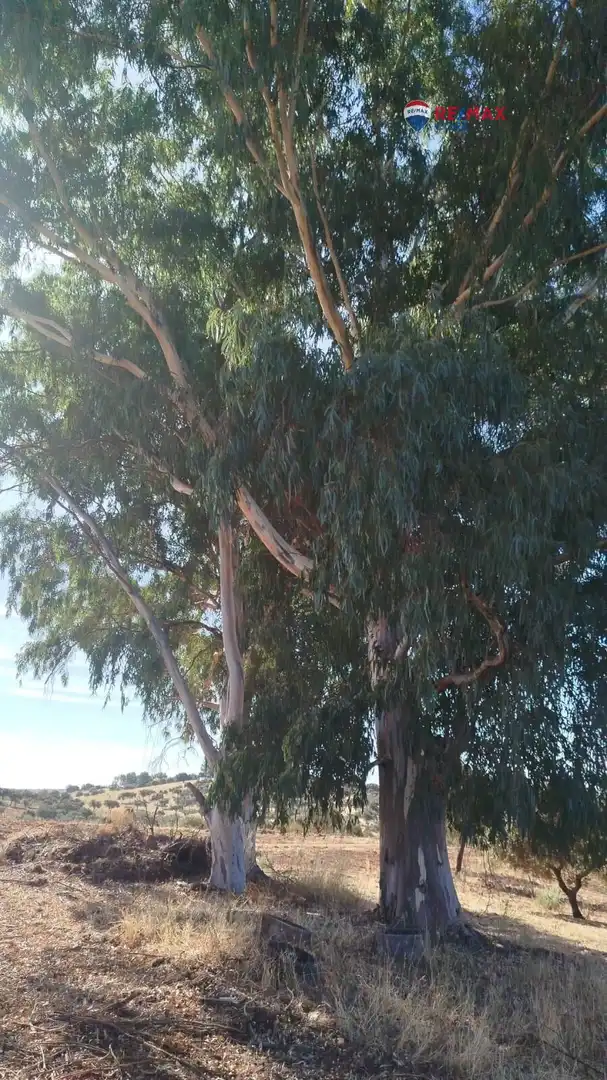 Terreni e lotti in vendita a Alburquerque, imagen 70