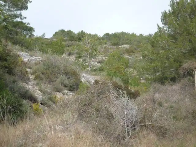 Lands and plots for sale in Nord