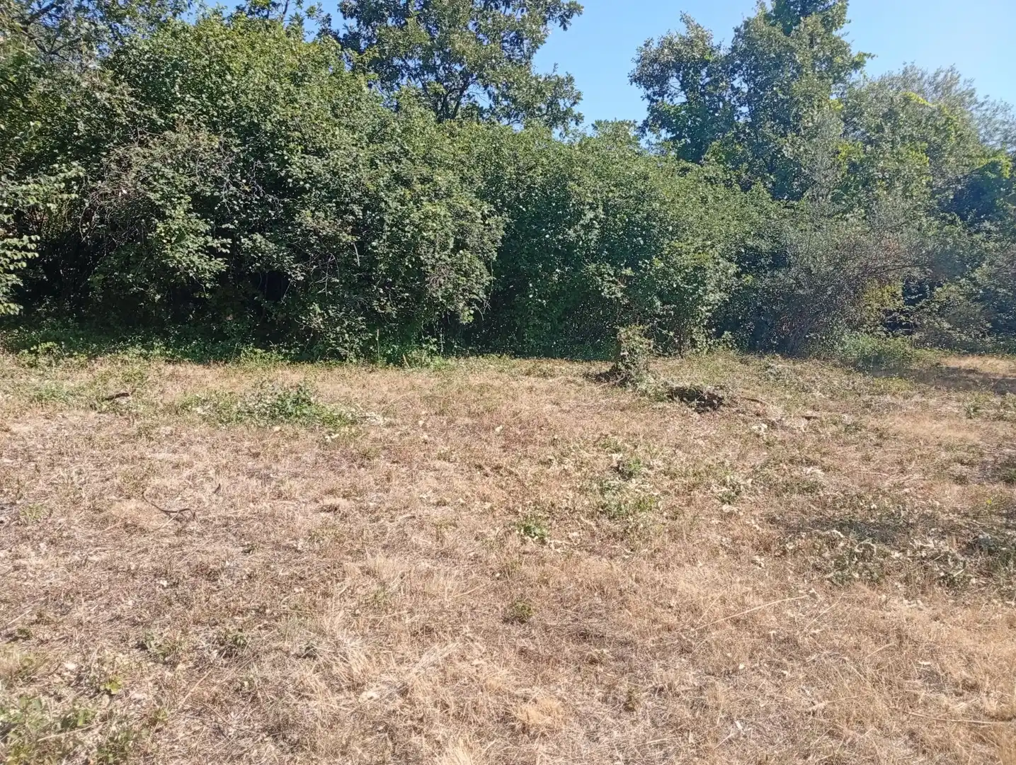 Terreni e lotti in vendita a Villanueva de la Vera, imagen 12