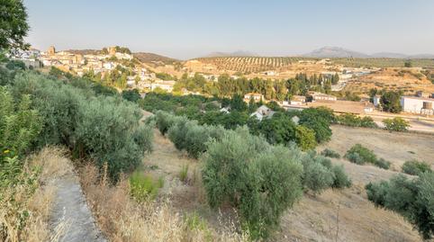 Photo 3 of Residential for sale in Calle de Granada de Iznalloz, Iznalloz, Granada