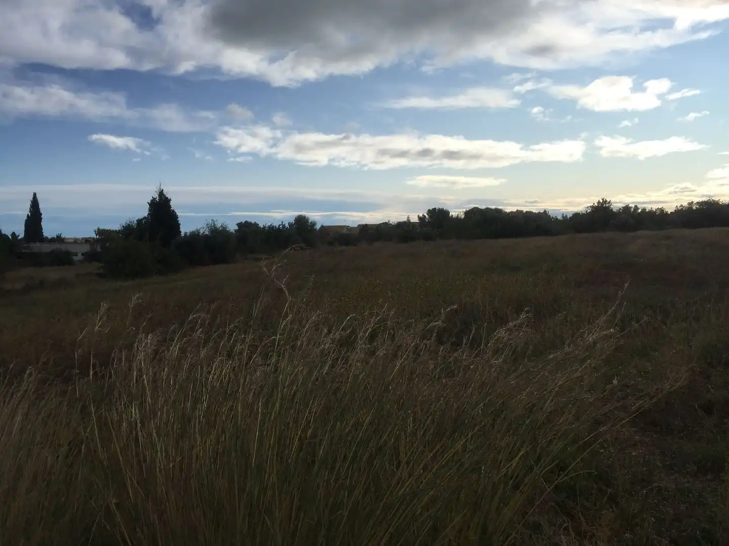 Terreny rústic en venda a Las Atalayas - Urmi - Cerro de Mar, imagen 6