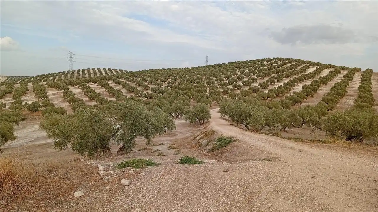 Wohnbaugrundstück zum Verkauf in Pajaro Verde, imagen 13