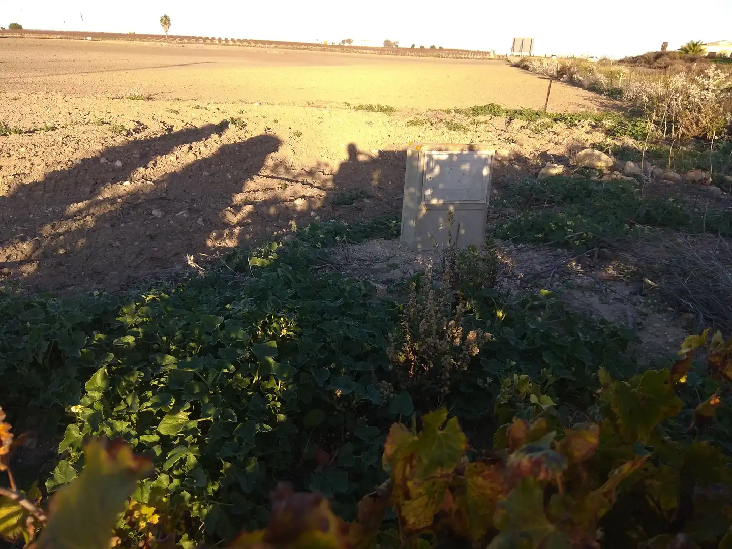 Rural land for sale in Ctra Sanlúcar - Cuatro Pinos, imagen 9