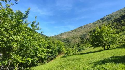 Foto 5 de Residencial en venta en N/a, Peñamellera Alta, Asturias