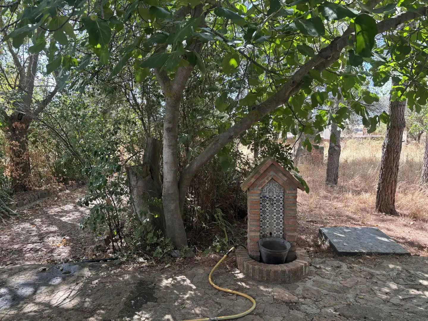 Country homes for sale in Orgaz