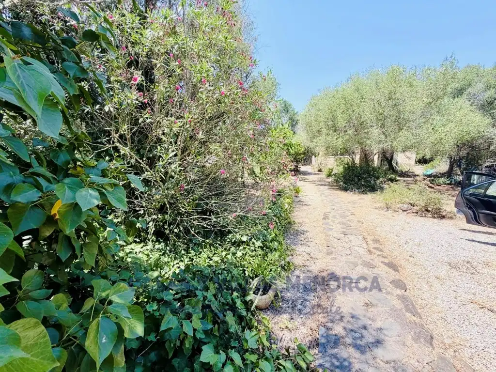 Casa rustica in vendita a Urbanizacion Binixica, imagen 9